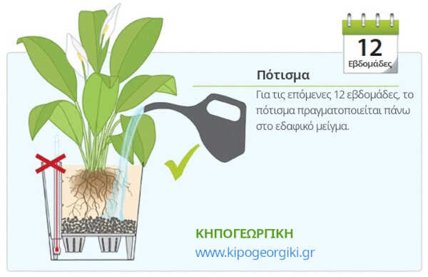 Αρχικά Ποτίσματα